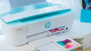 Принтер HP с СНПЧ: на что обратить внимание при выборе?