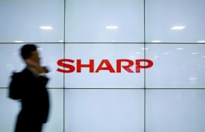 Sharp готовит OLED дисплем
