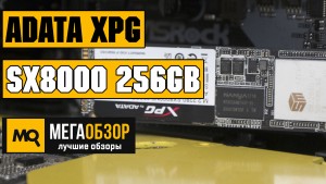 Обзор ADATA XPG SX8000 256GB. Лучший SSD NVMe начального уровня