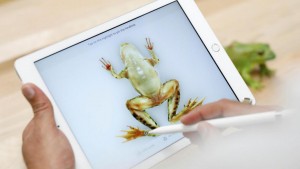 Apple представила обновлённую модель планшета iPad