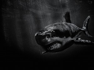 Модный смартфон Black Shark