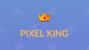 Обзор Pixel King. Ролевая игра в раскраски