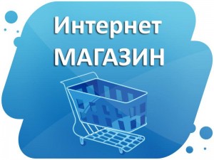 Создай свой Интернет-магазин и начинай зарабатывать