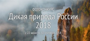 В Москве пройдет фотовыставка «Дикая природа России – 2018» 