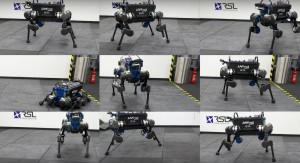 Роботизированная собака ANYmal после падения может вставать на ноги