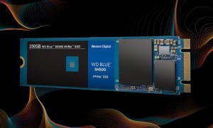 Western Digital выпустит на рынок самую дешевую модель SSD NVMe