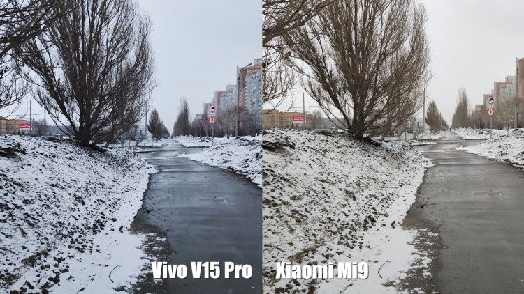 Vivo V15 Pro и Xiaomi Mi9