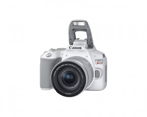 Зеркальная камера Canon APS-C EOS Rebel SL3