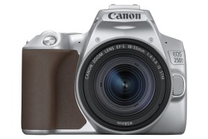 Зеркалка Canon EOS 250D c поворотным экраном и 4K-видео оценена в $650 