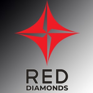 Состав Red Diamonds по PUBG распался