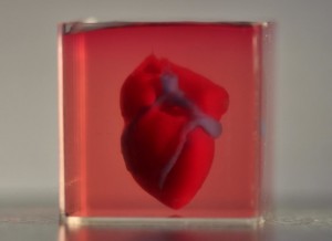 Исследователям удалось создать искусственное трехмерное сердце