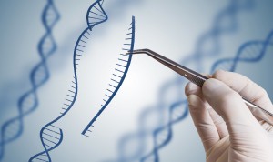 Ученые создали инструмент CRISPR, который может уничтожать более длинные ДНК