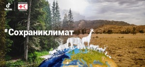 TikTok и МФОК запустили челлендж для поддержки борьбы с изменением климата