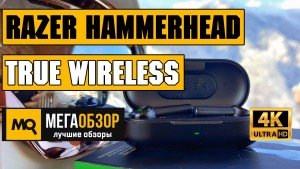 Обзор Razer Hammerhead True Wireless (RZ12-02970100-R3G1). Беспроводные наушники IPX4