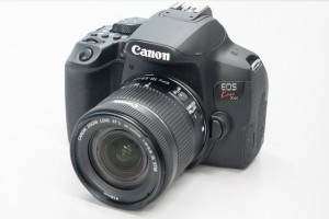 Камеру Canon EOS 850D показали на фото