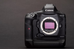 Опубликованы первые фото с камеры Canon 1DX Mark III