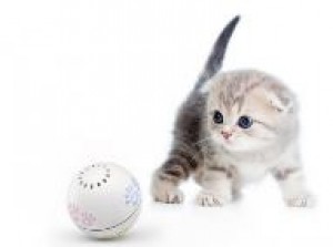 Умный мячик для кошки MiJia PN