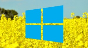 Microsoft выпустила обновление для Windows 10 Build 19041.173