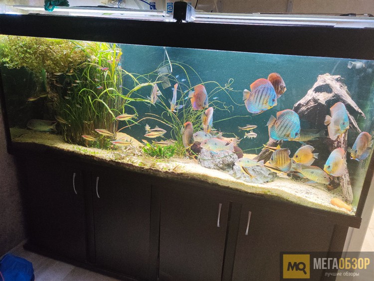 умный аквариум rubetek