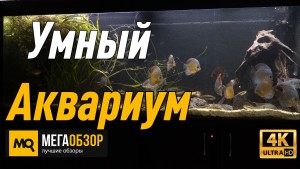 Умный аквариум 800литров: Rubetek RE-3310, лампочки Rubetek RL-3103, датчики Rubetek RS-3220...