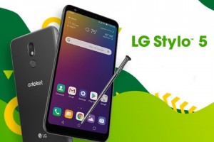 Смартфон LG Stylo 5 обновили до Android 10