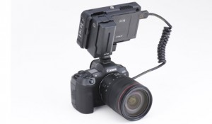Canon EOS R5 и R6 будут записывать ProRes