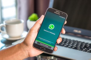 WhatsApp добавила новую функцию проверки отправленных сообщений