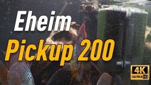 Обзор Eheim Pickup 200. Внутренний фильтр с контейнером для губки