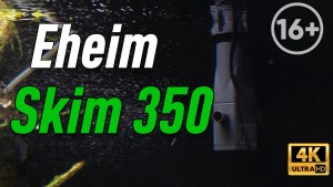 Обзор Eheim Skim 350. Скиммер для удаления пленки с поверхности воды в аквариуме
