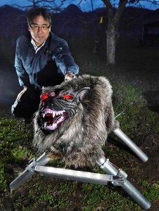 Робо-волки отпугивают медведей в Японии