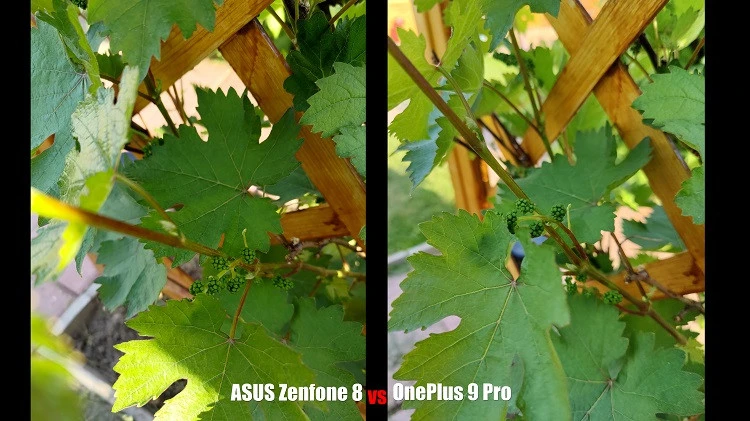 Сравнение  ASUS Zenfone 8 и OnePlus 9 Pro