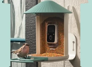 Кормушка для птиц с камерой Birdfy AI может идентифицировать более 6000 птиц
