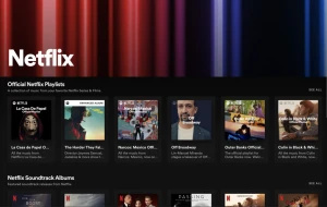 Spotify сотрудничает с Netflix, чтобы запустить новый Netflix Hub