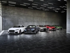 Audi TT RS Heritage Edition представили в США