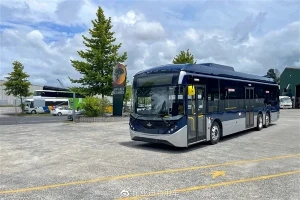 Электробусы BYD сходят с конвейера в Новой Зеландии