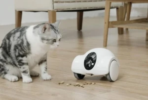 Робот-компаньон GULIGULI для домашних животных