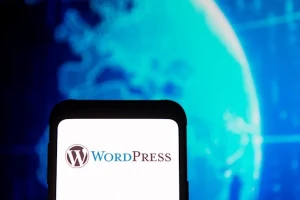 В плагине WordPress нашли уязвимость - она есть на 3 млн сайтов