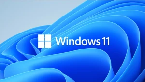 Windows 11 проанализирует выбранный вами текст и предложит действия