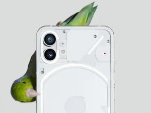 Первые примеры фото с камеры смартфона Nothing Phone (1) 