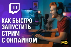 Как быстро запустить стрим с онлайном: наш опыт продвижения Twitch-канала через Socelin