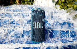 Беспроводную колонку JBL Grip оценили в 100 долларов 