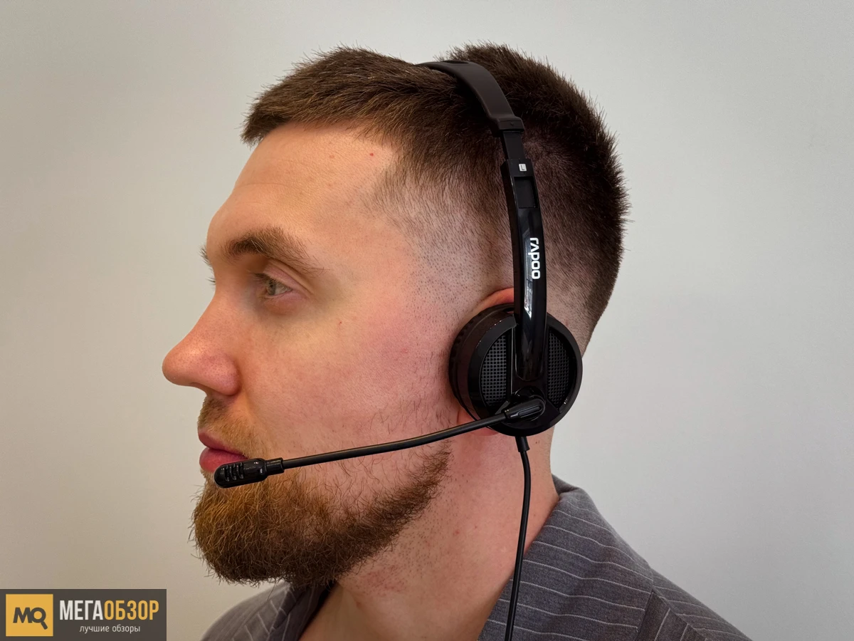 тесты Rapoo H120