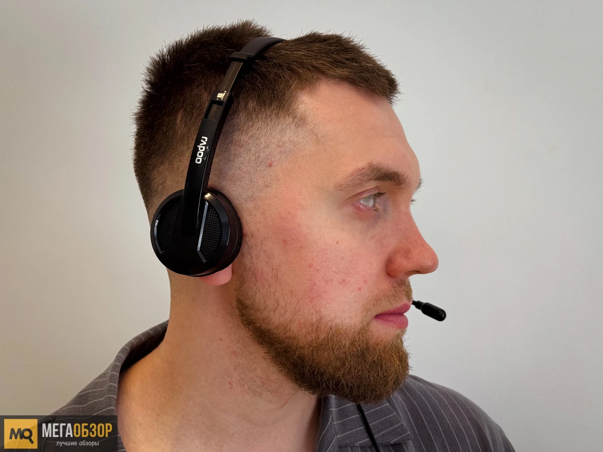 тесты Rapoo H120