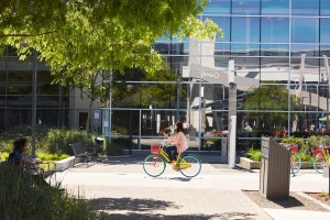 Google массово увольняет разработчиков ИИ