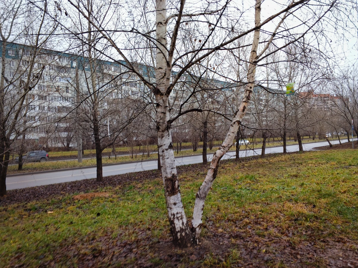 камера Tecno Spark 40 Pro