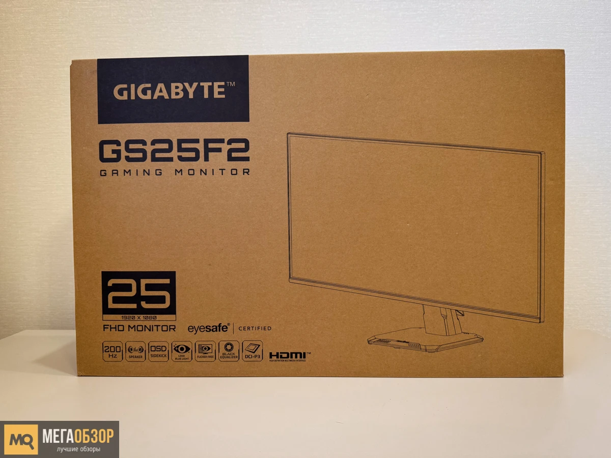 GIGABYTE GS25F2 комплектация