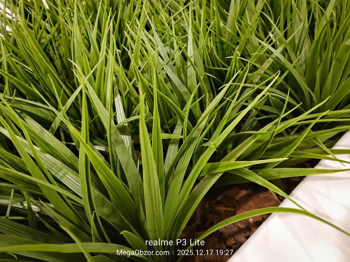 камера realme P3 Lite