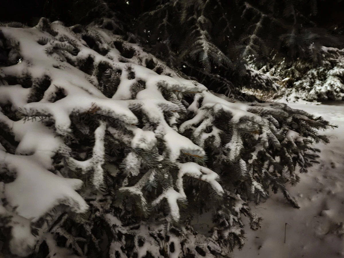 камера Tecno CAMON 40 Pro 5G