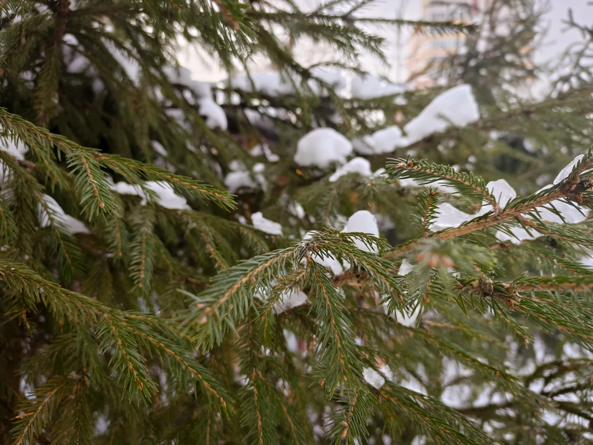 камера Tecno CAMON 40 Pro 5G