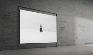 Представлен 130-дюймовый телевизор Samsung Micro RGB